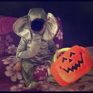 Halloween costume elephant